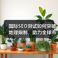国际SEO测试如何突破地理限制，助力全球市场拓展？ - 诺云路远科技资讯网