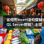 如何用Insert语句复制SQL Server数据？主键不同也能轻松实现！(图4)