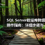 SQL Server数据库降级操作指南：详细步骤与注意事项 - 诺云路远科技资讯网