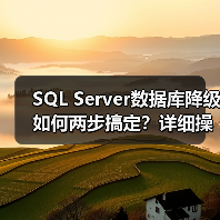 SQL Server数据库降级如何两步搞定？详细操作解析(图3)