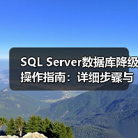 SQL Server数据库降级操作指南：详细步骤与注意事项(图3)