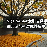 SQL Server索引注释添加方法与扩展属性应用详解(图4)