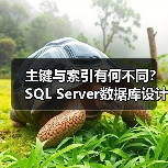 主键与索引有何不同？SQL Server数据库设计核心区别解析(图2)