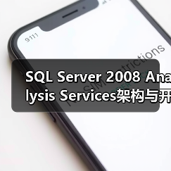 SQL Server 2008 Analysis Services架构与开发实践全解析(图4)