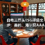 白电三巨头ESG评级出炉:美的、海尔获AAApi级,格力获AApi级(图2) 白电三巨头ESG评级出炉:美的、海尔获AAApi级,格力获AApi级(图2)