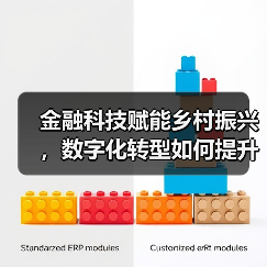 金融科技赋能乡村振兴，数字化转型如何提升农村金融效率？ - 诺云路远科技资讯网