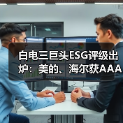 白电三巨头ESG评级出炉:美的、海尔获AAApi级,格力获AApi级(图4) 白电三巨头ESG评级出炉:美的、海尔获AAApi级,格力获AApi级(图4)