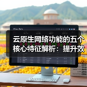 云原生网络功能的五个核心特征解析:提升效率与安全的必备方案(图3) 云原生网络功能的五个核心特征解析:提升效率与安全的必备方案(图3)