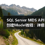 SQL Server MDS API创建Model教程:详细步骤与注意事项(图2) SQL Server MDS API创建Model教程:详细步骤与注意事项(图2)