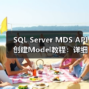 SQL Server MDS API创建Model教程:详细步骤与注意事项(图4) SQL Server MDS API创建Model教程:详细步骤与注意事项(图4)
