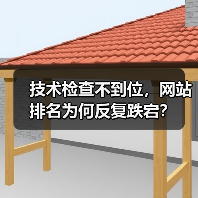 技术检查不到位,网站排名为何反复跌宕?(图2) 技术检查不到位,网站排名为何反复跌宕?(图2)