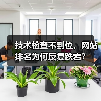 技术检查不到位,网站排名为何反复跌宕?(图3) 技术检查不到位,网站排名为何反复跌宕?(图3)