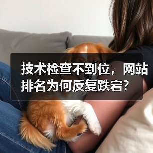 技术检查不到位,网站排名为何反复跌宕?(图4) 技术检查不到位,网站排名为何反复跌宕?(图4)