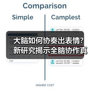 大脑如何协奏出表情？新研究揭示全脑协作真相 - 诺云路远科技资讯网