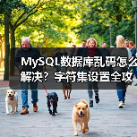 MySQL数据库乱码怎么解决?字符集设置全攻略(图3) MySQL数据库乱码怎么解决?字符集设置全攻略(图3)