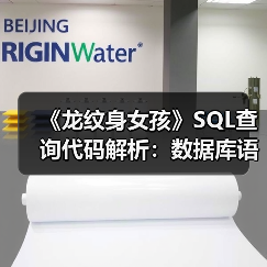 《龙纹身女孩》SQL查询代码解析:数据库语法差异揭秘(图4) 《龙纹身女孩》SQL查询代码解析:数据库语法差异揭秘(图4)