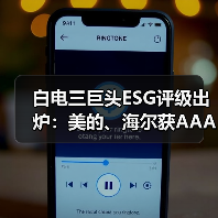 白电三巨头ESG评级出炉:美的、海尔获AAApi级,格力获AApi级(图3) 白电三巨头ESG评级出炉:美的、海尔获AAApi级,格力获AApi级(图3)