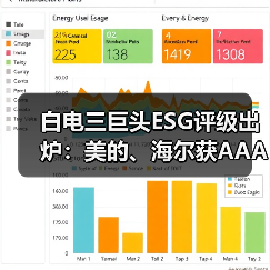 白电三巨头ESG评级出炉:美的、海尔获AAApi级,格力获AApi级(图4) 白电三巨头ESG评级出炉:美的、海尔获AAApi级,格力获AApi级(图4)