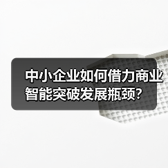 中小企业如何借力商业智能突破发展瓶颈?(图3) 中小企业如何借力商业智能突破发展瓶颈?(图3)
