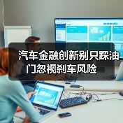 汽车金融创新别只踩油门忽视刹车风险(图3) 汽车金融创新别只踩油门忽视刹车风险(图2)