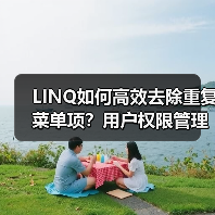 LINQ如何高效去除重复菜单项?用户权限管理实例详解(图4) LINQ如何高效去除重复菜单项?用户权限管理实例详解(图4)