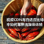 视频CDN与自适应比特率如何革新流媒体体验?(图3) 视频CDN与自适应比特率如何革新流媒体体验?(图3)