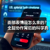 面部表情是怎么来的？全脑协作背后的科学真相(图2)