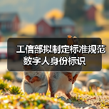 工信部拟制定标准规范数字人身份标识(图1)
