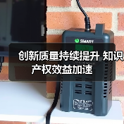 创新质量持续提升 知识产权效益加速(图4)