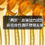 “两新”政策加力提效 供需良性循环增强发展后劲 - 诺云路远科技资讯网