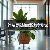 外贸网站加载速度测试(图3) 外贸网站加载速度测试(图2)