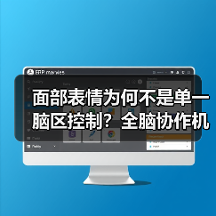 面部表情为何不是单一脑区控制？全脑协作机制揭秘(图2)