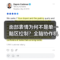 面部表情为何不是单一脑区控制？全脑协作机制揭秘(图3)
