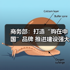 商务部:打造“购在中国”品牌 推进建设强大国内市场(图2) 商务部:打造“购在中国”品牌 推进建设强大国内市场(图1)