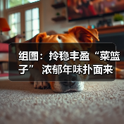 组图：拎稳丰盈“菜篮子” 浓郁年味扑面来(图2)