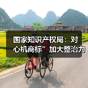 国家知识产权局：对“心机商标”加大整治力度 情形严重的撤销商标(图3)