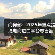 商务部:2025年重点跨境电商进口平台零售额增长5.6%(图4) 商务部:2025年重点跨境电商进口平台零售额增长5.6%(图4)