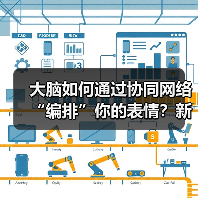 大脑如何通过协同网络“编排”你的表情？新研究颠覆传统认知 - 诺云路远科技资讯网