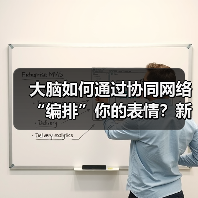 大脑如何通过协同网络“编排”你的表情?新研究颠覆传统认知(图3) 大脑如何通过协同网络“编排”你的表情?新研究颠覆传统认知(图3)