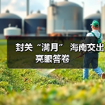 封关“满月” 海南交出亮眼答卷(图1) 封关“满月” 海南交出亮眼答卷(图1)