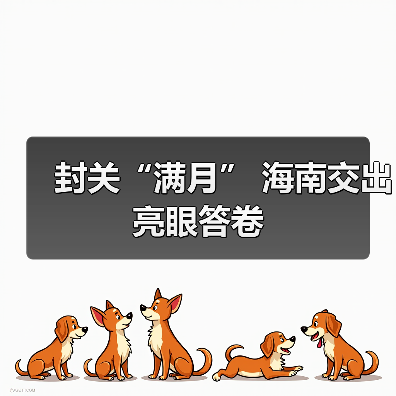 封关“满月” 海南交出亮眼答卷(图3) 封关“满月” 海南交出亮眼答卷(图3)