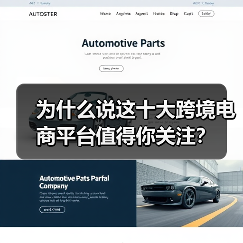 为什么说这十大跨境电商平台值得你关注?(图3) 为什么说这十大跨境电商平台值得你关注?(图3)