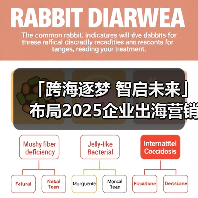 「跨海逐梦 智启未来」布局2025企业出海营销新机遇(图4) 「跨海逐梦 智启未来」布局2025企业出海营销新机遇(图4)