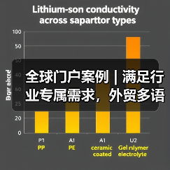 全球门户案例 | 满足行业专属需求,外贸多语一价(图4) 全球门户案例 | 满足行业专属需求,外贸多语一价(图3)