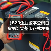 《B2B企业数字营销白皮书》完整版正式发布!(图3) 《B2B企业数字营销白皮书》完整版正式发布!(图2)