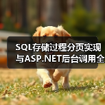 SQL存储过程分页实现与ASP.NET后台调用全解析 - 诺云路远科技资讯网