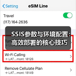 SSIS参数与环境配置:高效部署的核心技巧(图4) SSIS参数与环境配置:高效部署的核心技巧(图4)