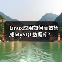 Linux应用如何高效集成MySQL数据库?(图2) Linux应用如何高效集成MySQL数据库?(图2)