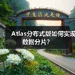 Atlas分布式版如何实现数据分片?(图3) Atlas分布式版如何实现数据分片?(图3)