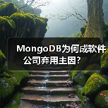 MongoDB为何成软件公司弃用主因?(图3) MongoDB为何成软件公司弃用主因?(图3)